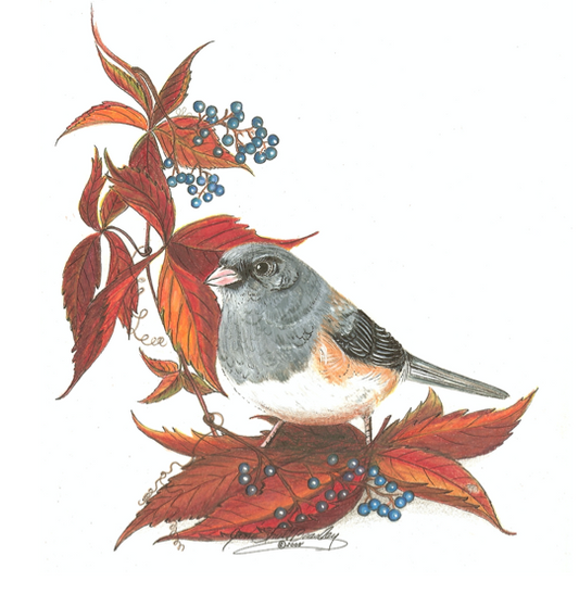 Beginning Backyard Birding