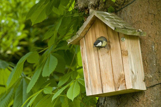 Hang a Birdhouse Without Harming a Tree