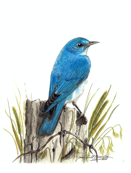 Where to place your bluebird house
