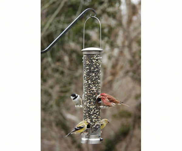 Seed Tube Medium Brushed Nickel Quick Clean Base