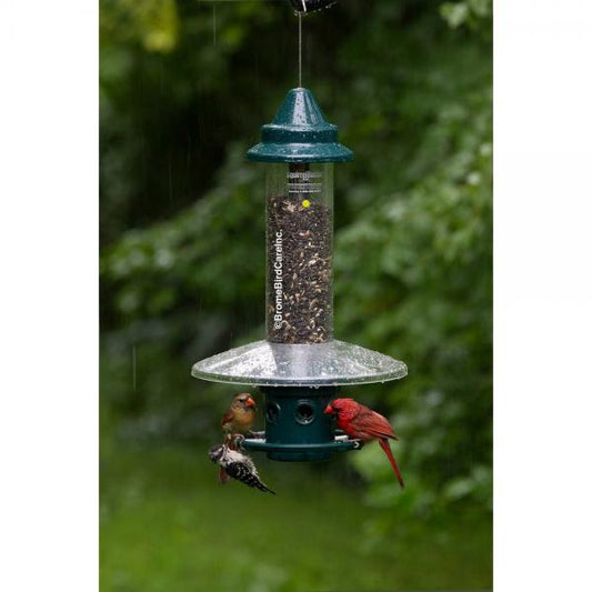 Squirrel Buster Plus Weatherguard