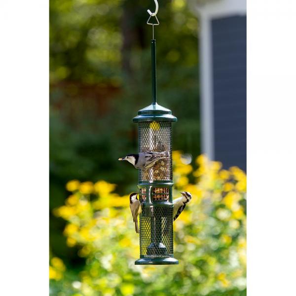 Squirrel Buster Peanut Feeder