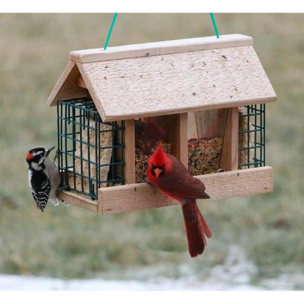Double Option Hopper Feeder with Suet Cages