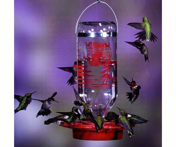 Best-1 32 oz. Feeder