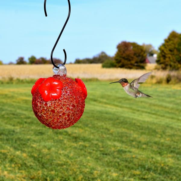 Red Textured Glass Hummingbird Feeder
