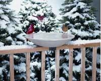 20 inch EZ Deck Tilt and Clean Heated