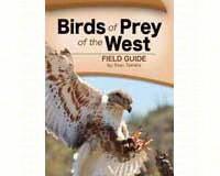 Birds of Prey of the West