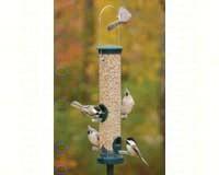 Quick Clean Spruce Seed Tube Feeder 1.75 Quart