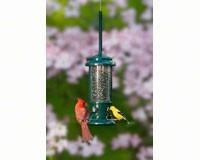 Squirrel Buster Standard Feeder