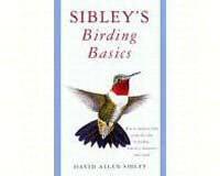 Sibleys Birding Basics