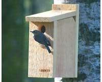 View Thru Bluebird House