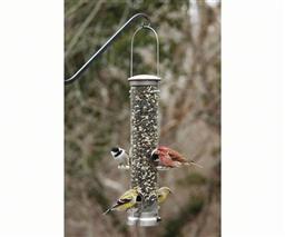 Seed Tube Medium Brushed Nickel Quick Clean Base