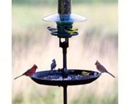 Seed Buster Tray Feeder and Seed Catcher