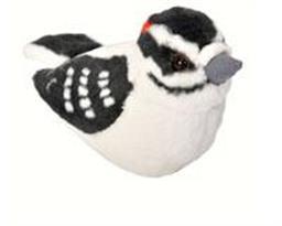 Plush Downy Woodpecker