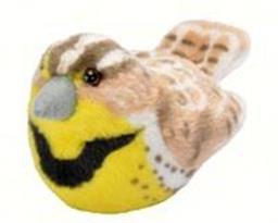 Plush Western Meadowlark
