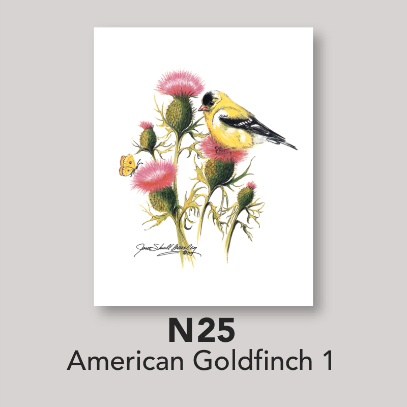 American Goldfinch Notecard