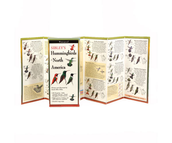 Sibleys Hummingbirds of North America