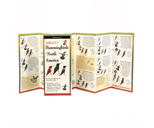Sibleys Hummingbirds of North America