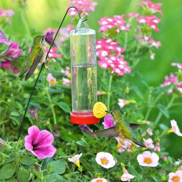 Hummingbird Basket Planter Feeder
