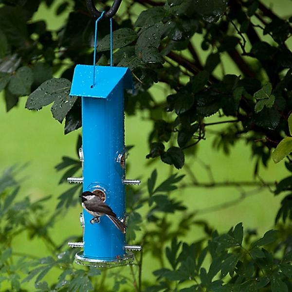 Blue 6 Port Seed Feeder
