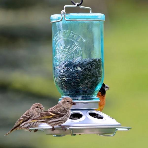 Antique Wide Blue Glass Seed Feeder