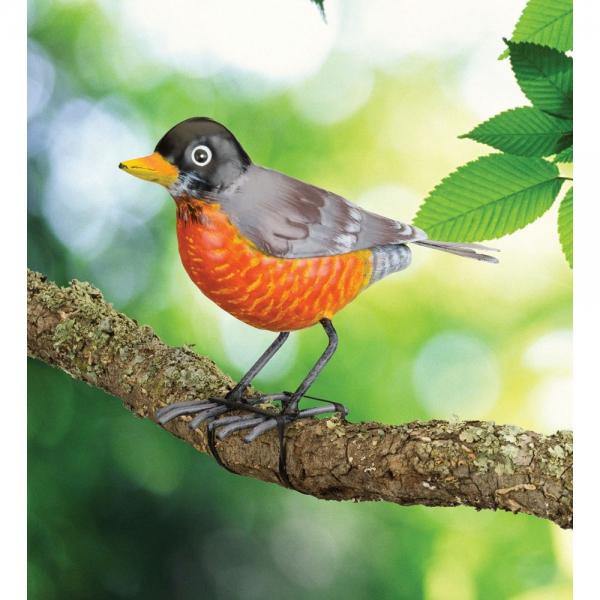 Robin Decor