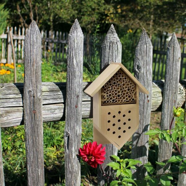 Bee Boarding House