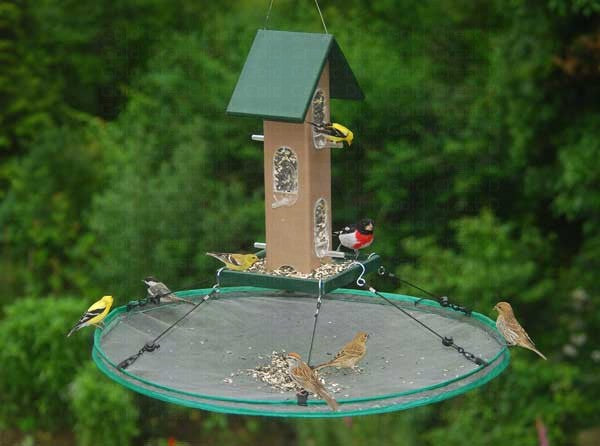 Seed Hoop 30 inch