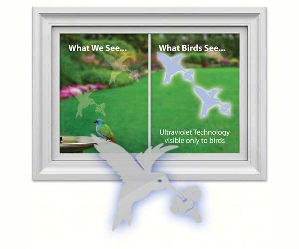 Hummingbird Decal (4 per package)