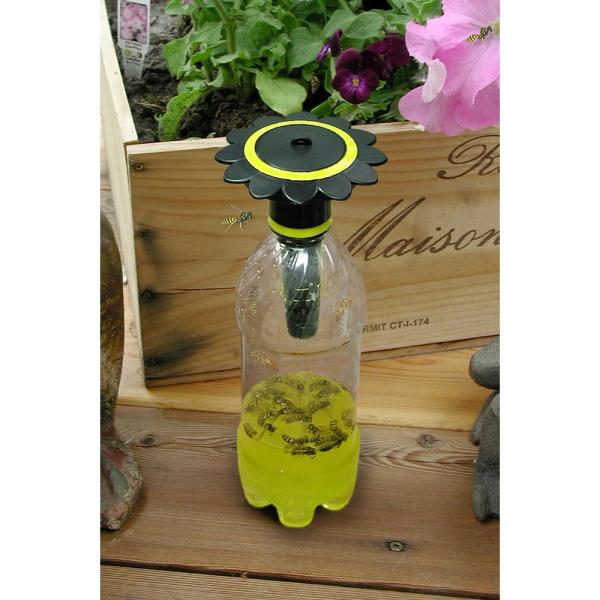 Wasp Trap Black