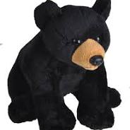 Wild Calls Bear
