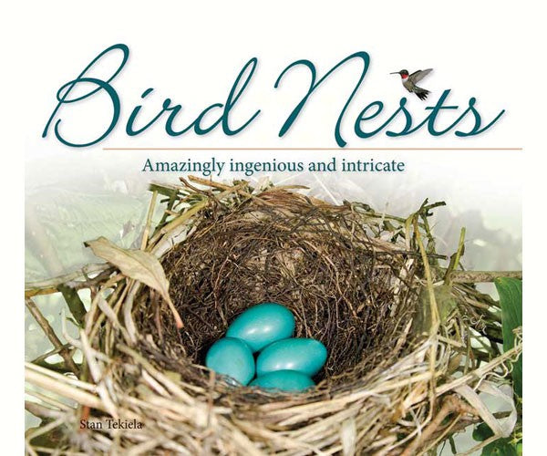 Bird Nests