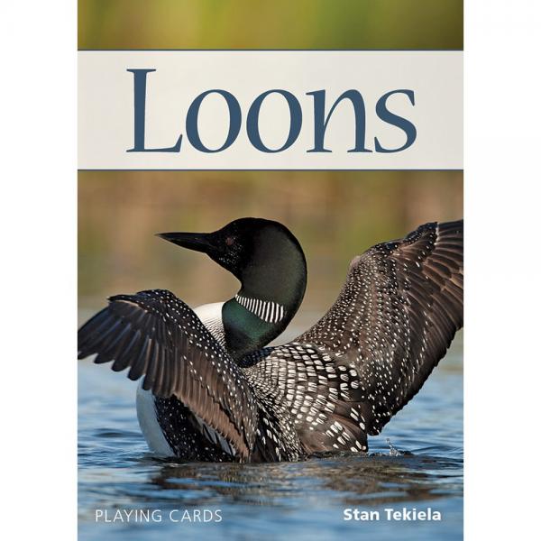 Loons Playing Cards