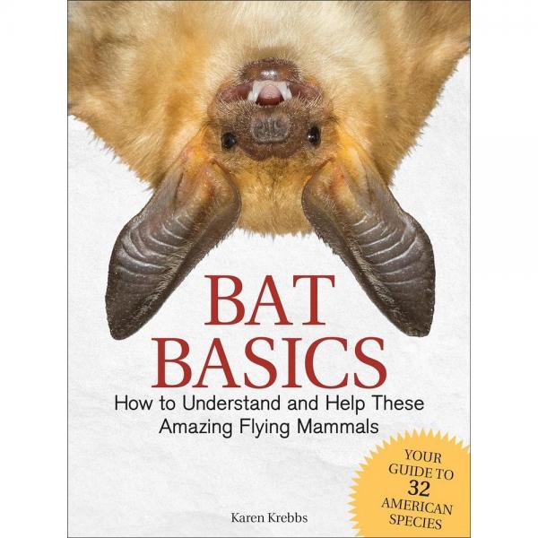 Bat Basics