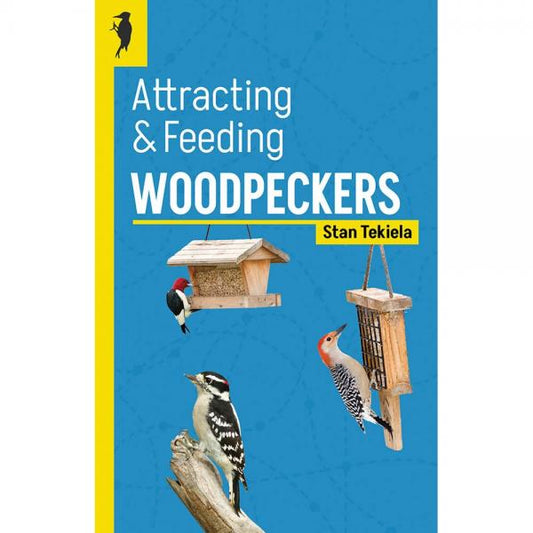 Attracting & Feeding Woodpeckers