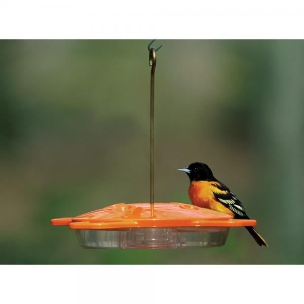 The Oriole Feeder 16 oz.