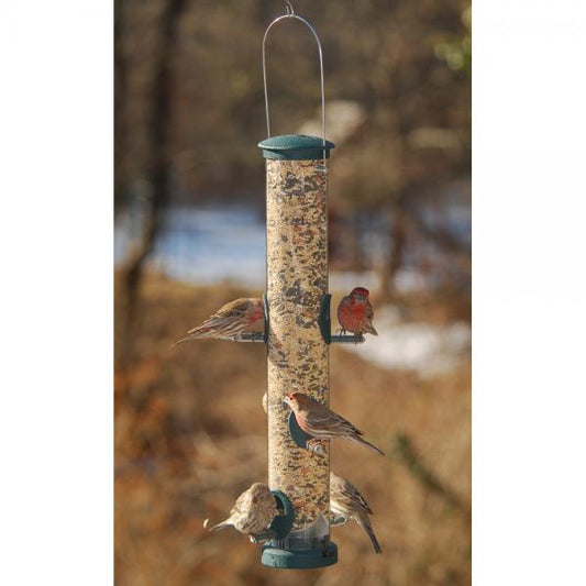 Quick Clean Spruce Seed Tube Feeder 1.75 Quart