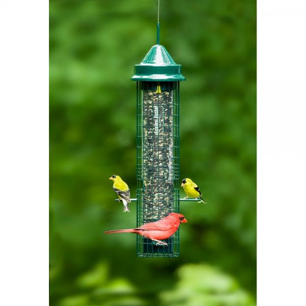 Squirrel Buster Classic Feeder