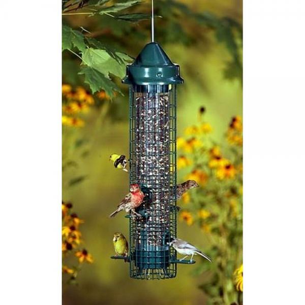 Squirrel Buster Classic Feeder