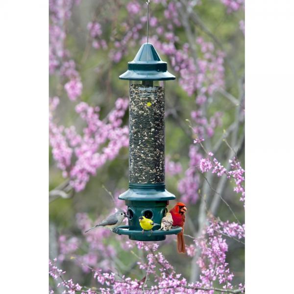 Squirrel Buster Plus Feeder