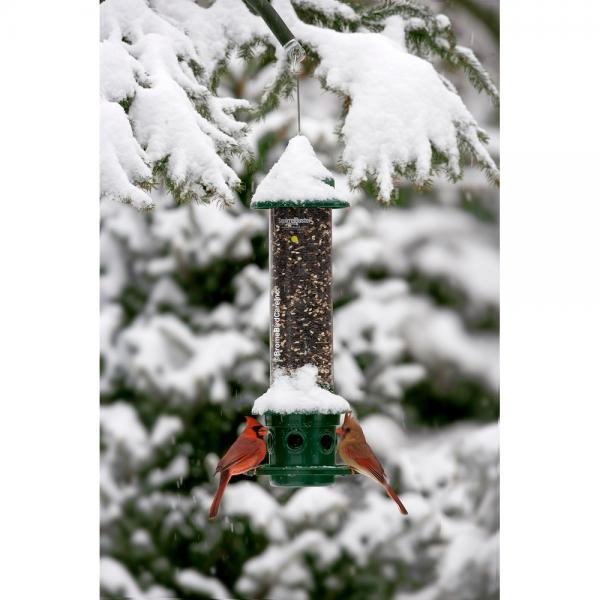 Squirrel Buster Plus Feeder