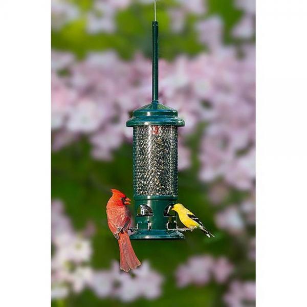 Squirrel Buster Standard Feeder