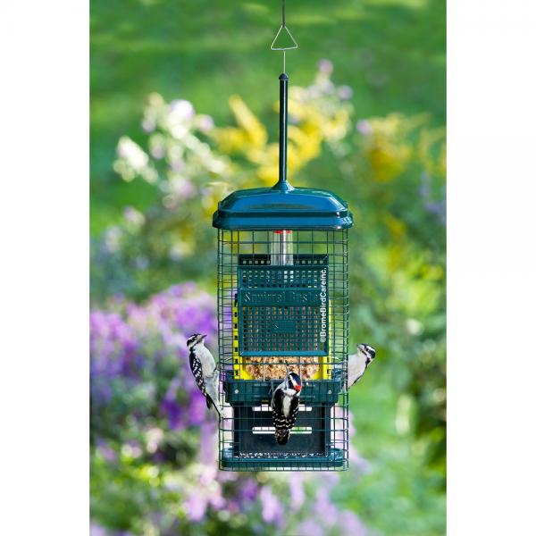 Squirrel Buster Suet Feeder