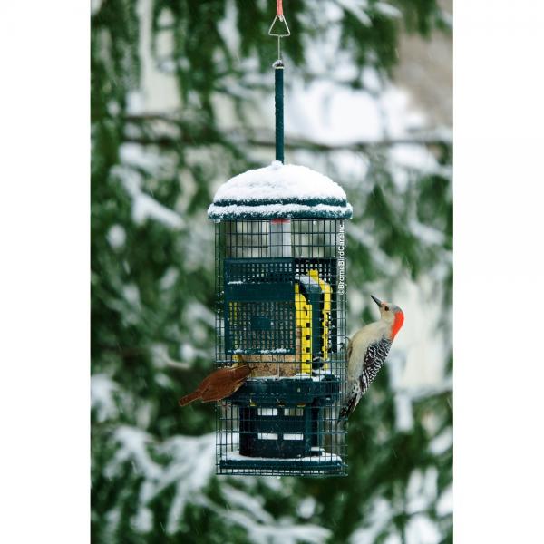 Squirrel Buster Suet Feeder