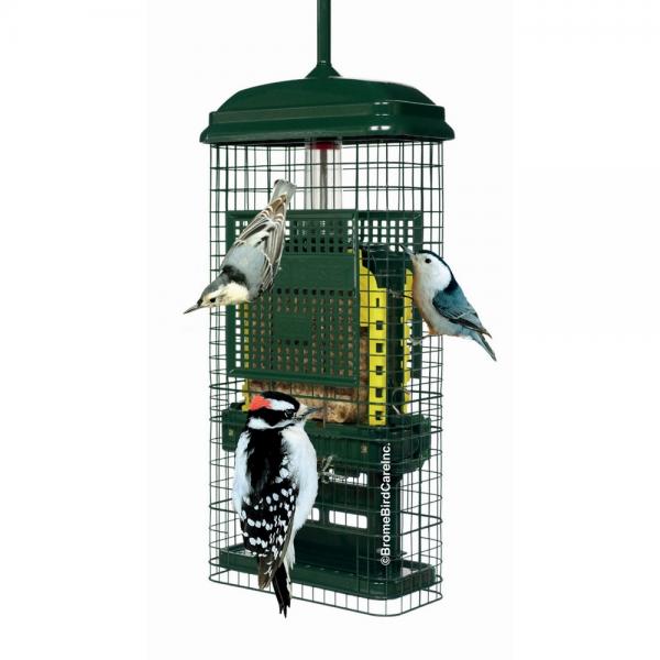 Squirrel Buster Suet Feeder