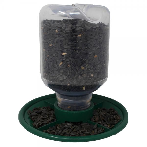 Switch N Swap 48oz Seed Feeder