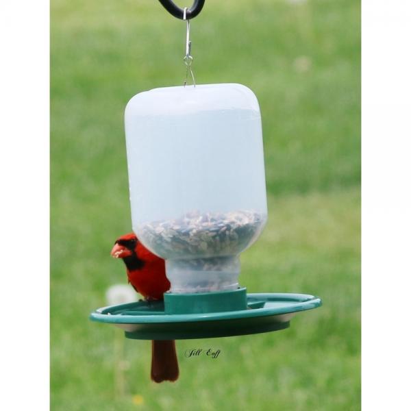 Switch N Swap 48oz Seed Feeder