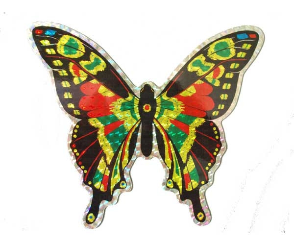 Large Multi Colored Butterfly Door Screen Saver