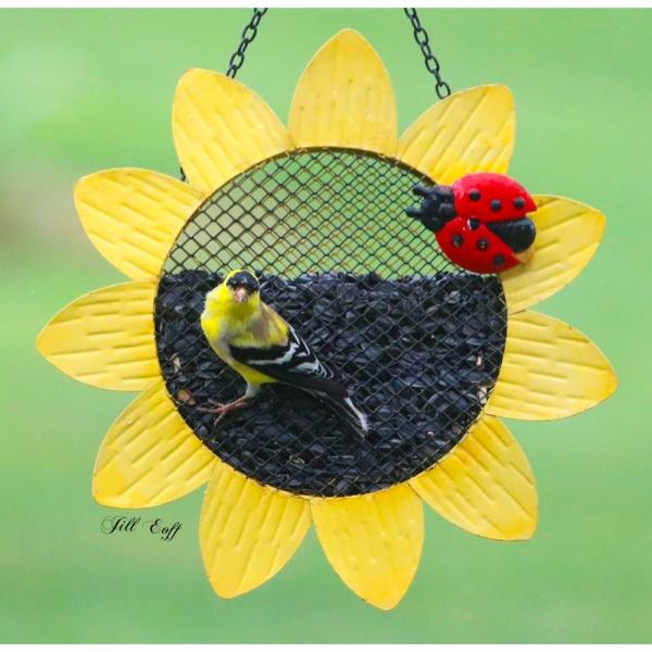 Sunflower Mesh Feeder