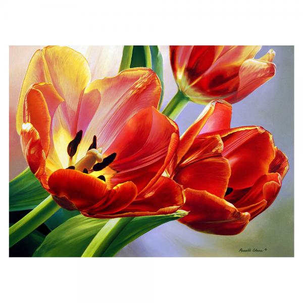 Tulips 1000 Piece Puzzle